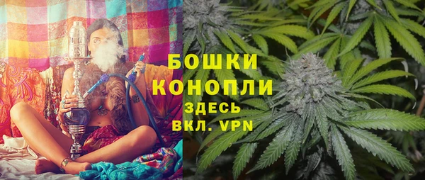 гидра Алексеевка