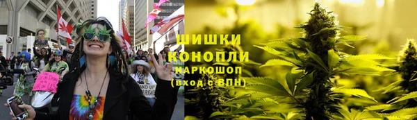 дурь Алзамай