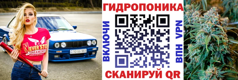 Бошки Шишки конопля  Козловка 